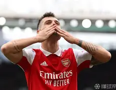 九游体育官网-转会期勒沃库森备战英超，迎来里程碑细节曝光，赛场秩序良好，训练强度明显提升的简单介绍